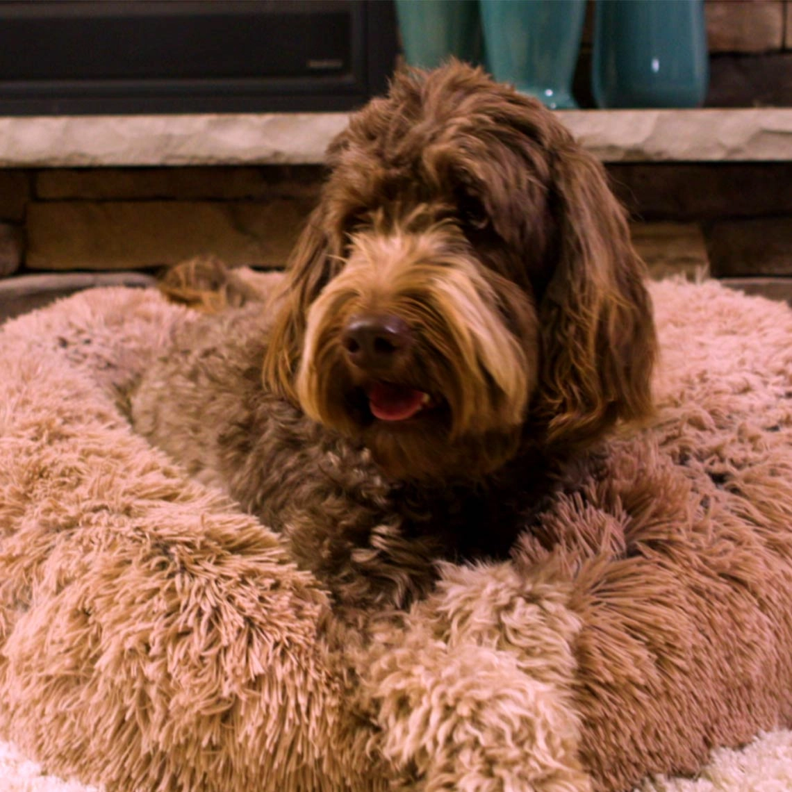 Peaceful Pooch Katzen- & Hundebett Medium (76cm)