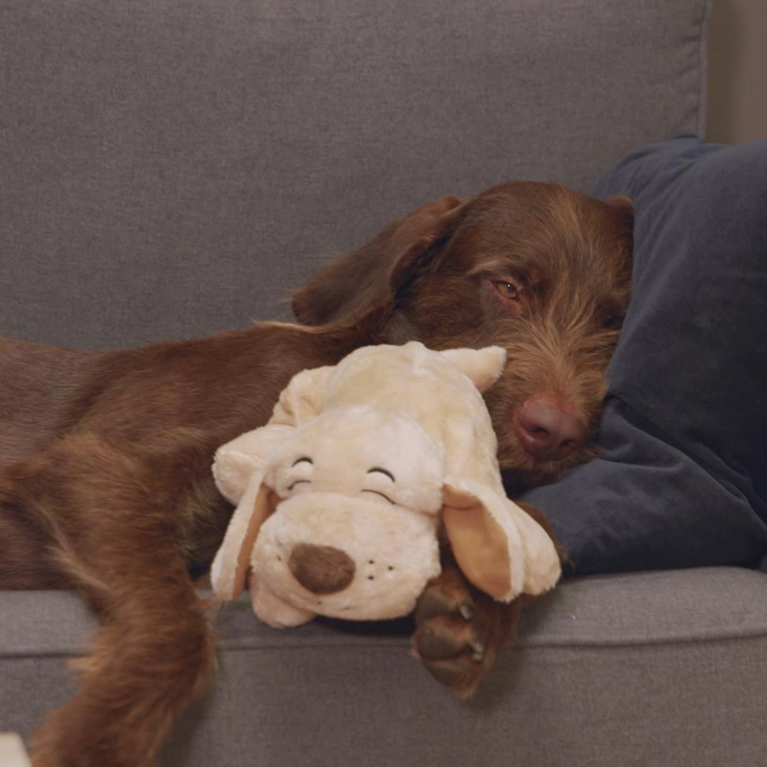Huggie Pup das beruhigende Hunde-Kuscheltier mit Herzschlag & Wärmekissen
