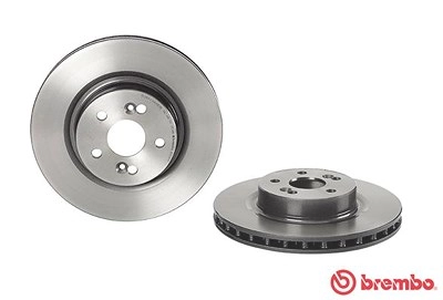 BREMBO Bremsscheibe 09.8904.11 Bremsscheiben,Scheibenbremsen RENAULT,Clio III Schrägheck (BR0/1, CR0/1),MEGANE II (BM0/1_, CM0/1_)