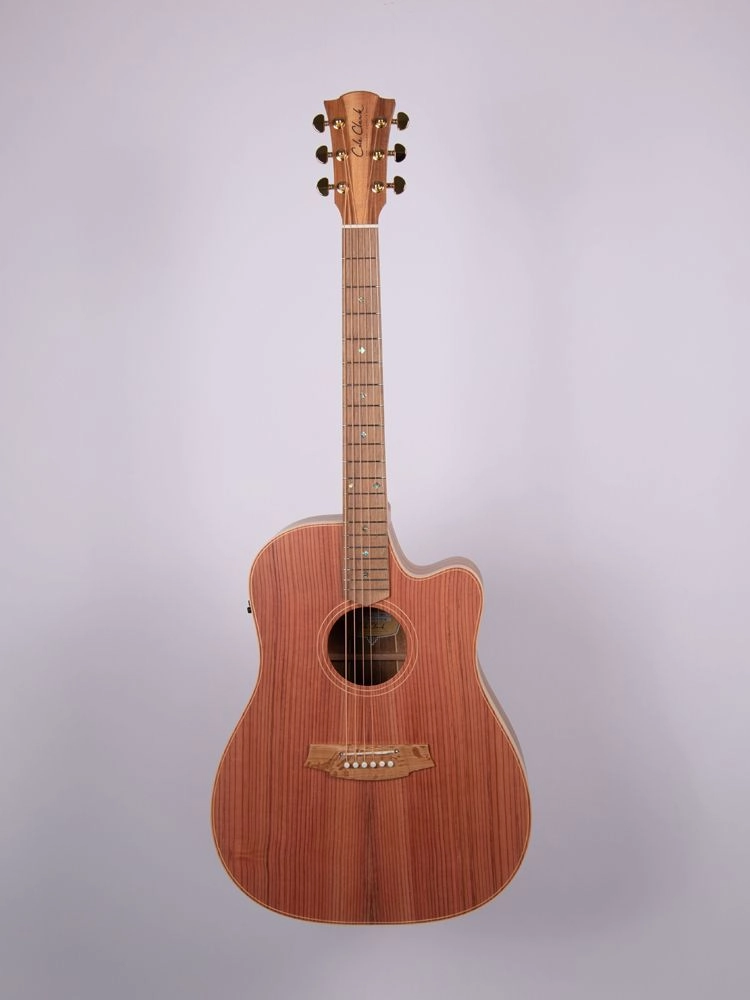 Cole Clark FL2EC-RDBL incl. Koffer