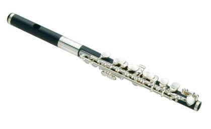 Jupiter JPC-1000E Piccolo ABS Kopf und Korpus, ABS-Kunstharz, incl. Etui