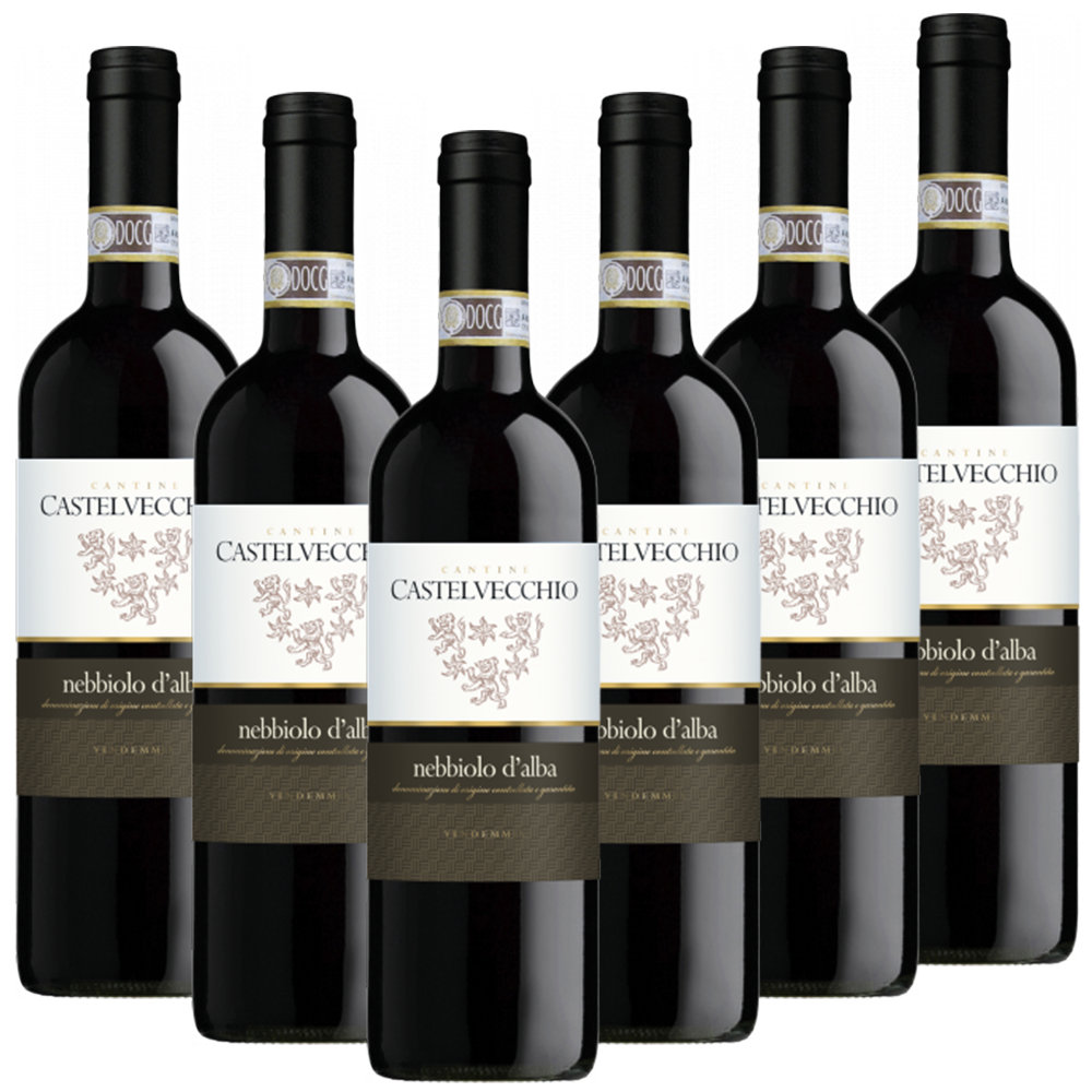 Nebbiolo d Alba DOC Castelvecchio Italien  trocken - 6er Karton