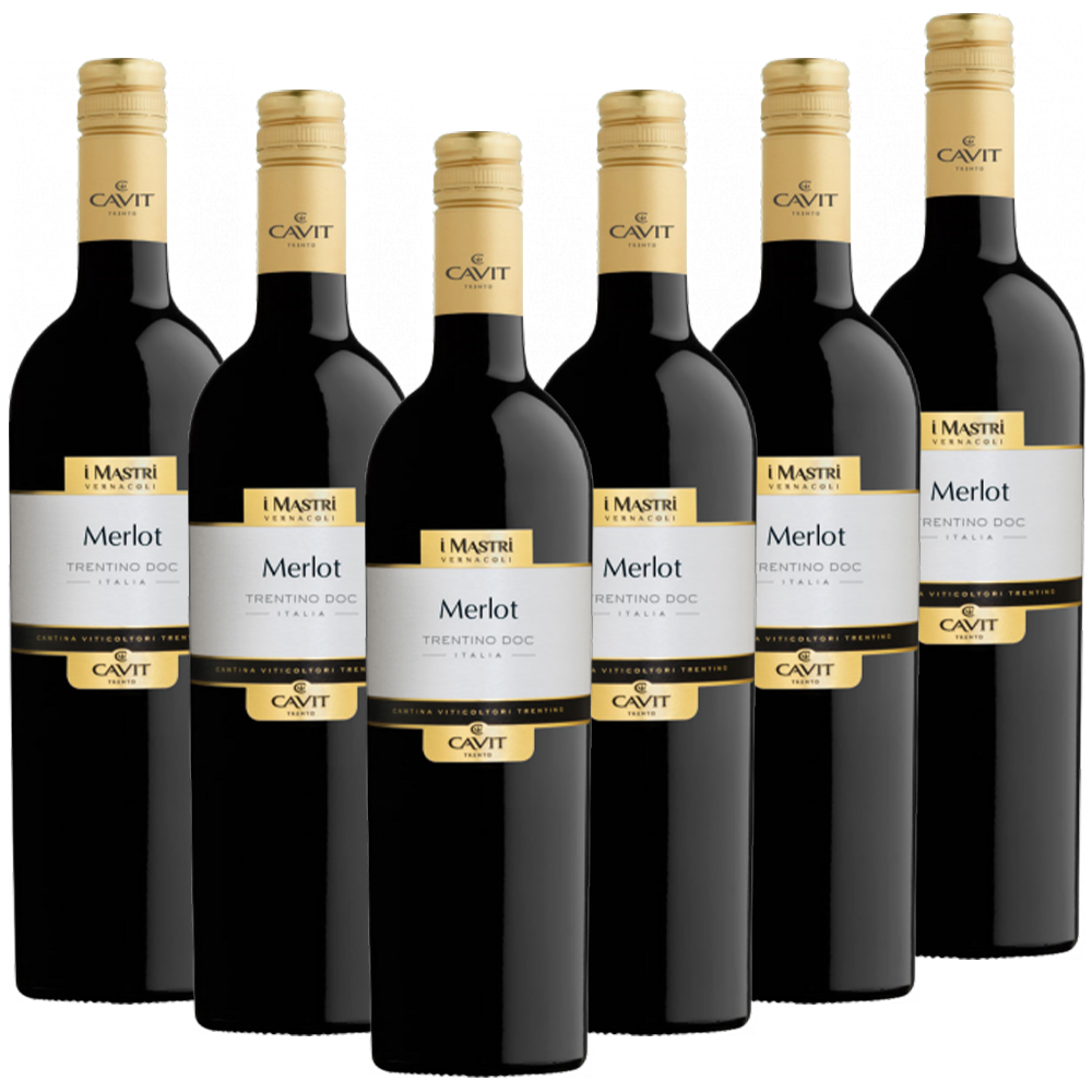 Merlot Italieno DOC Mastri Vernacoli Italien trocken