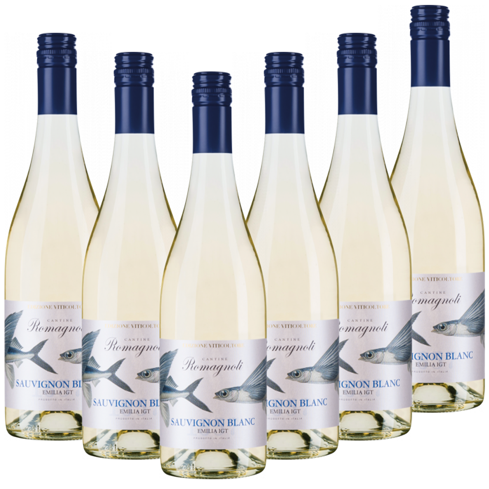Sauvignon Blanc Emilia IGT "Edizione Viticoltore"  Italien trocken - 6er Karton