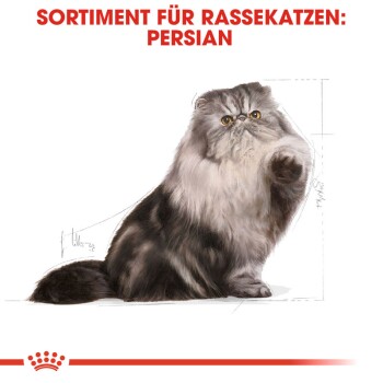 ROYAL CANIN Persian Adult 2 kg