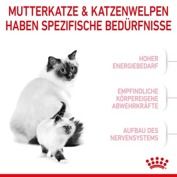 ROYAL CANIN Mother & Babycat 2 kg