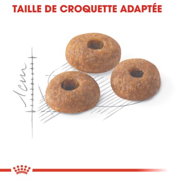 ROYAL CANIN Regular Fit 32 10 kg