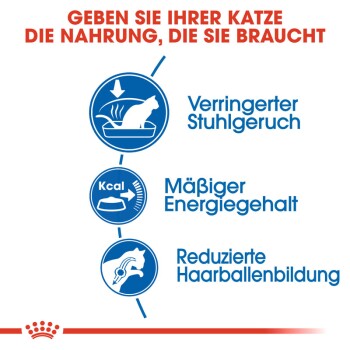 ROYAL CANIN Home Life Indoor 27 10 kg