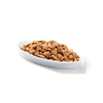 PERFECT FIT Adult 1+ Reich an Huhn 2,8 kg