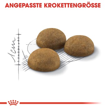 ROYAL CANIN Indoor Long Hair 2 kg