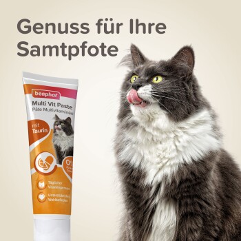 Beaphar Multi Vitamin Paste Katze 250g