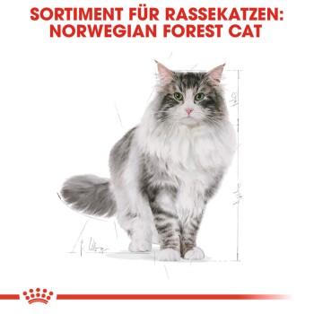 ROYAL CANIN Norwegian Forest Adult 2 kg