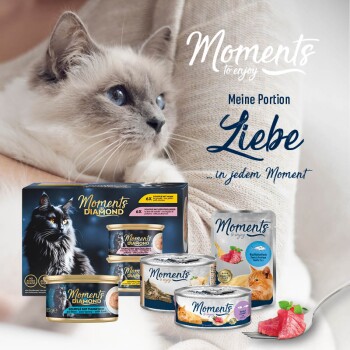 MOMENTS Adult Huhn 12x70 g
