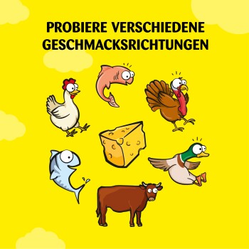 Dreamies Mix 6x60g Käse und Rind