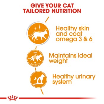 ROYAL CANIN Hair & Skin in Gelee 12x85 g