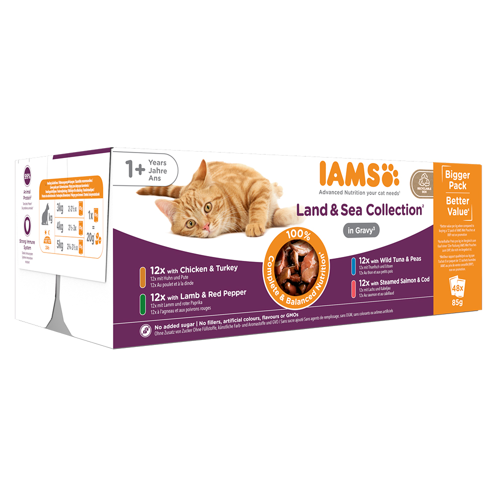 IAMS Delights Adult 48x85g 48x85 g