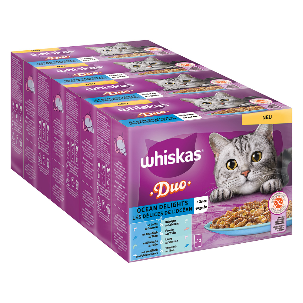 Whiskas Duo Multipack Ocean Delights in Gelee 12 x 85g