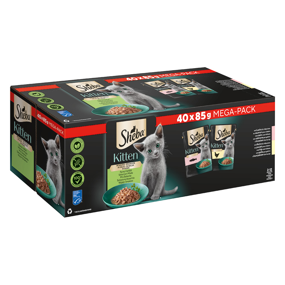 Sheba Multipack Mega-Pack Kitten in Sauce Feine Vielfalt mit Lachs, mit Huhn MSC 40x85 g