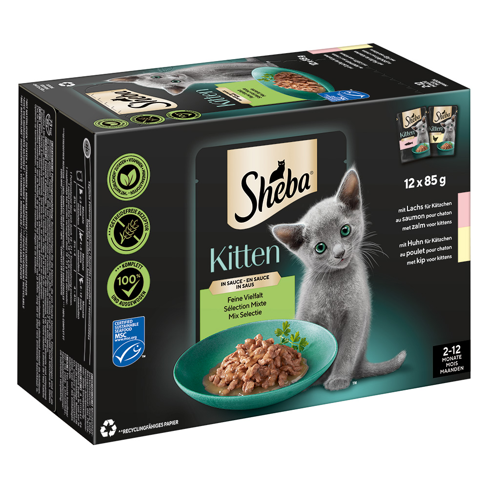 Sheba Multipack Kitten in Sauce Feine Vielfalt mit Lachs, mit Huhn MSC 12x85 g