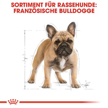 ROYAL CANIN Französische Bulldogge Adult 1,5 kg