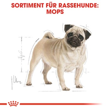 ROYAL CANIN Mops Adult 1,5 kg