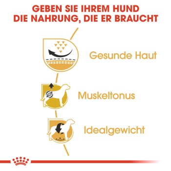 ROYAL CANIN Mops Adult 1,5 kg
