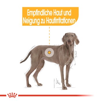 ROYAL CANIN Dermacomfort Maxi 3 kg