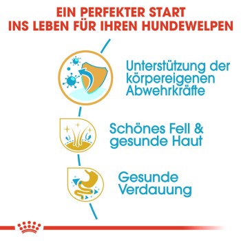 ROYAL CANIN Golden Retriever Puppy 3 kg