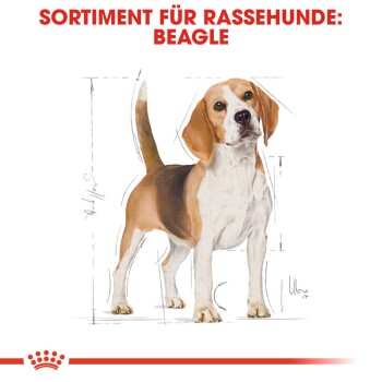 ROYAL CANIN Beagle Adult 3 kg