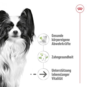 ROYAL CANIN X-Small Adult 8+ 3 kg