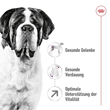 ROYAL CANIN Giant Adult 4 kg