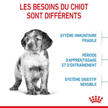 ROYAL CANIN Medium Puppy 4 kg