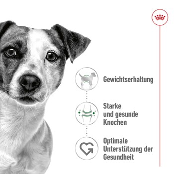 ROYAL CANIN Mini Adult 2 kg