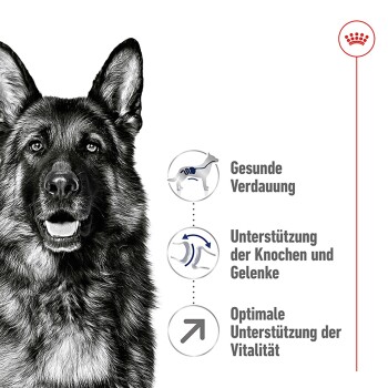 ROYAL CANIN Maxi Adult 5+ 15 kg