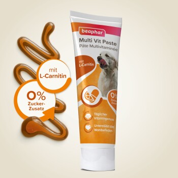 Beaphar Multi Vitamin Paste Hund, 250g