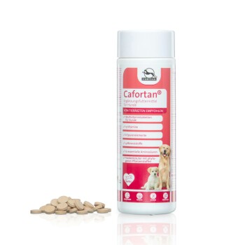 Fortan Cafortan Multivitamintabletten