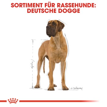 ROYAL CANIN Deutsche Dogge Adult 12 kg