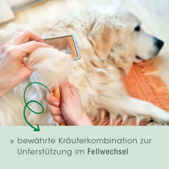 cdVet Fell & Haut Vital 400 g