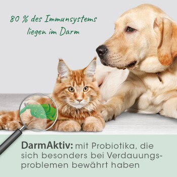 cdVet DarmAktiv Hund & Katze 250 ml