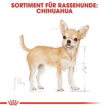 ROYAL CANIN Chihuahua Adult 3 kg