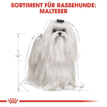 ROYAL CANIN Maltese Adult 1,5 kg
