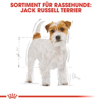 ROYAL CANIN Jack Russell Terrier Adult 3 kg