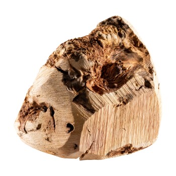 Chewies Kauwurzel L