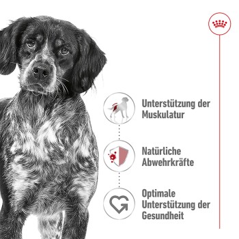 ROYAL CANIN Medium Adult 2x15 kg