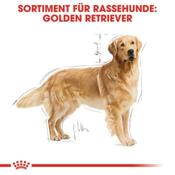 ROYAL CANIN Golden Retriever Adult 2x12 kg