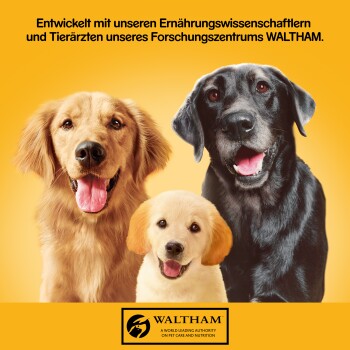 Pedigree Nassfutter Hund Adult, Classic 3 Sorten 12x800 g Geflügel