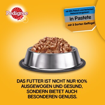 Pedigree Nassfutter Hund Adult, Classic 3 Sorten 12x800 g Geflügel