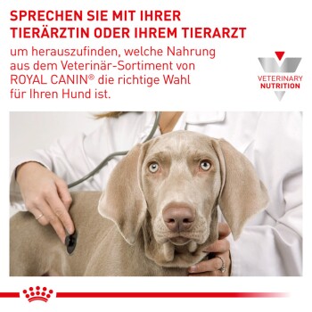 ROYAL CANIN Veterinary Hypoallergenic 14 kg