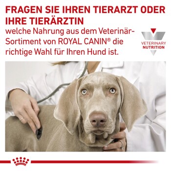 ROYAL CANIN Veterinary Gastro Intestinal Low Fat 12 kg