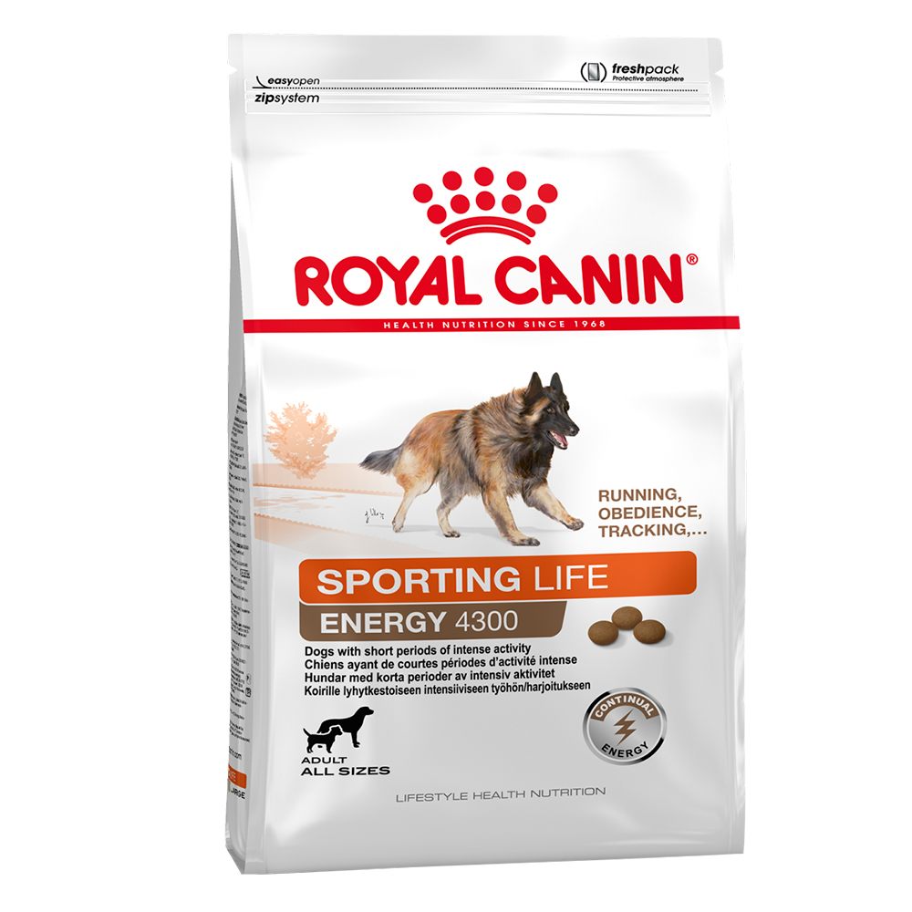 ROYAL CANIN ENERGY 4300 (TRAIL) 15 kg